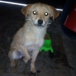 D a0c5217b bcb0 4228 890b f63ab162707c