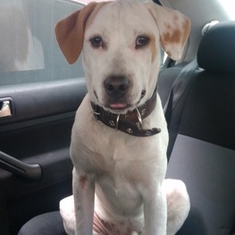 D 514ce348 fa0e 4519 98b5 ec1daa5347cc