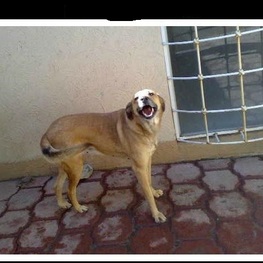 D 3a452e8e 88d5 426b a962 8d54781cc396