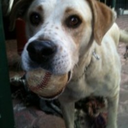 D 1638b504 bb3a 4915 957e 243d26ae0258