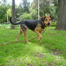 D 394f3b9e dc93 4d4d ab47 73228d44a68f