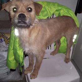 D 899b9e33 bc3c 4473 8d0a 6e26e8334e48