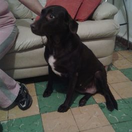 D e5a26c04 4b80 4275 b122 5e29b8b26bc7