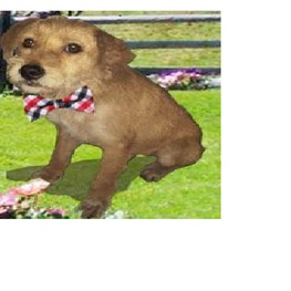 D d534279d 5524 4328 a52f 2a5a39d3d417