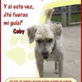 D 7287b8a5 e069 41c1 957b d204e18a6b13