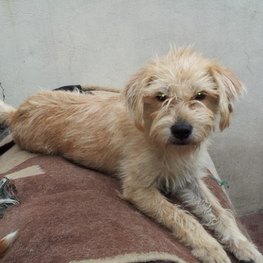 D 03170680 88d4 4226 8900 d67bc7b18e8e