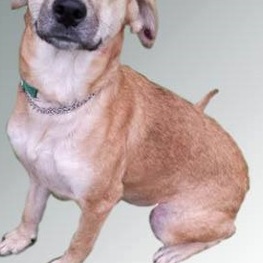 D c36de2ff a7b7 49cb 9a61 05713f3b64e6