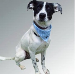 D 7d2af27e 71e7 4836 b0ae 12af160b951d