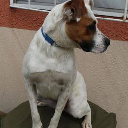 D 71c74330 b39b 4575 9a30 51c1e5c7cabf