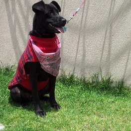 D 0be513b8 e4ac 464a 9bcd dd72a4d5e424