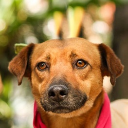 D 151eda52 2fb6 4170 909a 642c8755234a