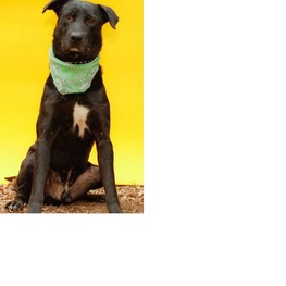 D 9736a5de 5321 4382 8891 d7517521cf6c