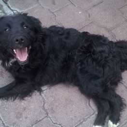 D 87dc0f81 d90e 4005 93a9 d844dd78e44b