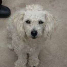 D d9192fc1 ef41 410e a4f2 9c3a35d408ec