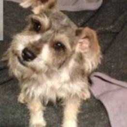 D ba71ea0d f534 4c58 a663 40f2d03e0cff