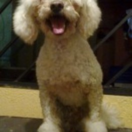 D 27a945e4 53b3 4981 bb5a f46629af82ec