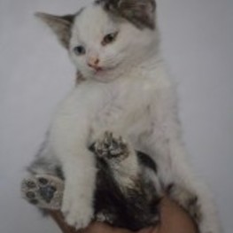 D 5cbd849f 18b2 422d 89aa 7298b461cbd7