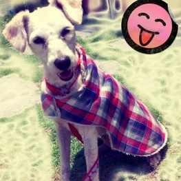 D 162966a8 35a7 4bb1 b824 eb8e705a81fb