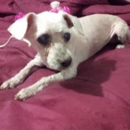 D 4b816623 3b44 42b7 b7a3 54cc57af9c60