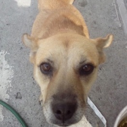 D 90c2b29a 5a9f 474c b42d 8dde93d47f79