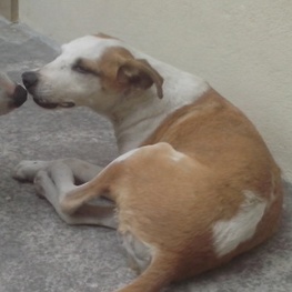 D 5f9c8a5a d972 4da7 b65c 743f7cb88277