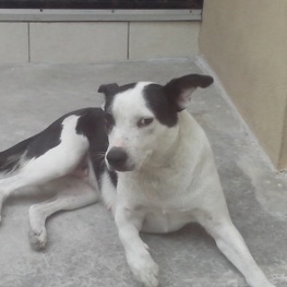 D 89787166 f4be 4aea 958b 30bf522b449b