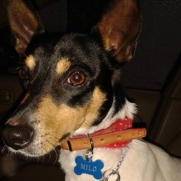 D 75868c5d 0e03 4dca bdd6 620f550f771f