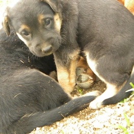 D 944b1c02 149b 4455 a108 88cfaea20260