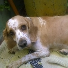 D b08cec05 e939 421c 9511 98342729e920