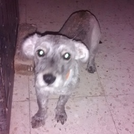 D 8a2b6a4e 205a 461b a111 90ea41e67a36