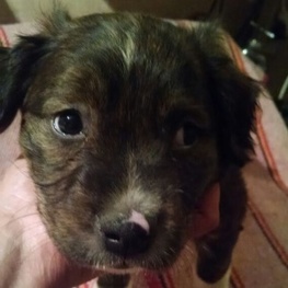 D 9fcf5313 bd97 48df 93f1 70e6d29df406