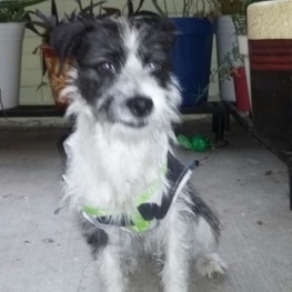 D 9451c3e0 52b6 410c ab43 002b7960354d