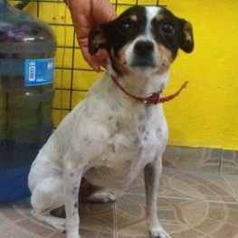 D a691ca83 632c 4f0f 9654 06af1a2c4c7f