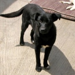 D 64c2c1f0 d3e9 4c99 adb3 e3b663e640b2