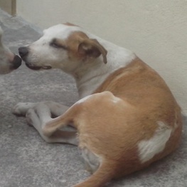 D ef281d7b 6873 48be ae14 a05c603be6e6