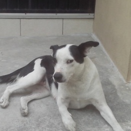 D dbce6e14 fb7b 4b96 9108 691f6a2f81dc