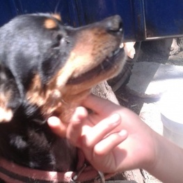 D 75f3f76f 9f5a 4a83 ad24 b23ad6de6db5