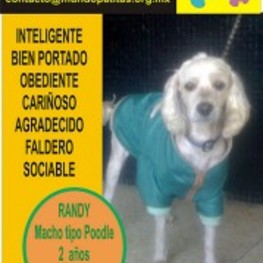 D a2086587 735b 44ec beb8 9ddf4737ec1b