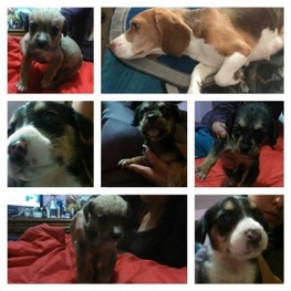 D e8f91a7a 6f13 4511 9be4 4aad88f0f5ee