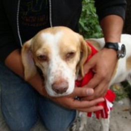 D e48b6d55 7bc2 4344 9707 d314af3f1188