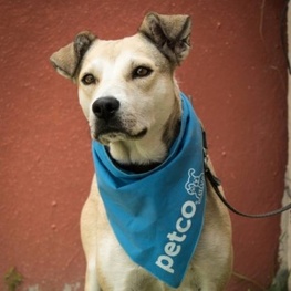 D 2e3f6f3c a894 4960 86ea f7621a32ebdf