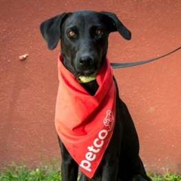 D 5207316a c629 412b be65 95e210368779