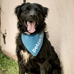 D d30c97b5 7e12 4a76 8607 a87679b8d4c1