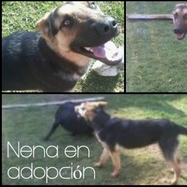 D 1fd034b7 31fa 40d5 85ee 6dc40c9aa591