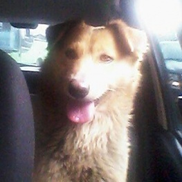 D f7fe561e 6b28 4079 be65 cbaa37781ea1