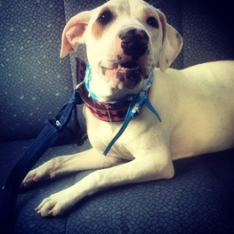 D e8de70d1 ef71 40cb 97f7 5e197ca11b4e