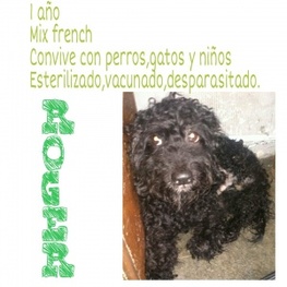 D 7ede5aac 1176 4fe6 9cac ea60488446a8