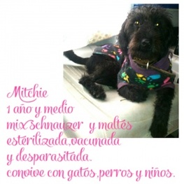 D e9a146f8 8bfa 4c5c 81b9 9ecb9d70af99