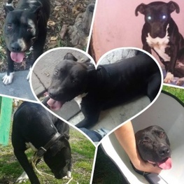 D 31df875b 9a0f 4fb1 8d31 0e2c440a173e