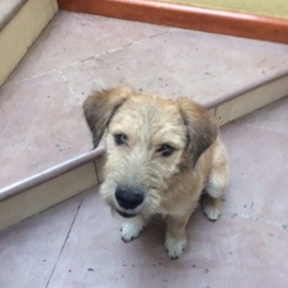 D 56d24654 b8d0 410f bc5f 352f11832f9a